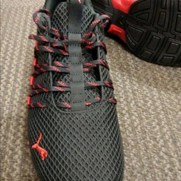 Puma - Picture 3 of 3